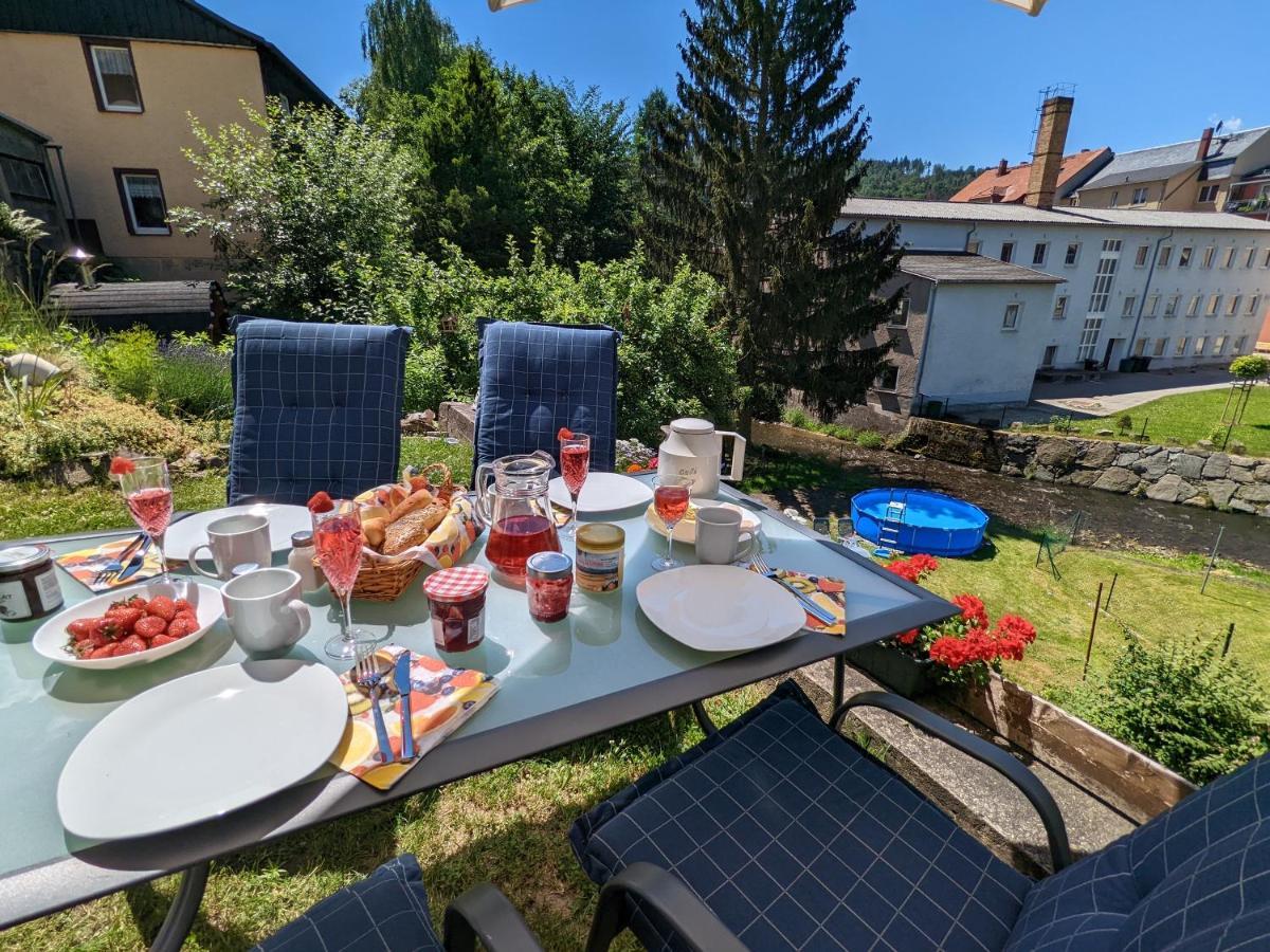 Urlaubstraum Mit Pool, Terrasse & Fluss Im Garten - Ut Διαμέρισμα Sebnitz Εξωτερικό φωτογραφία