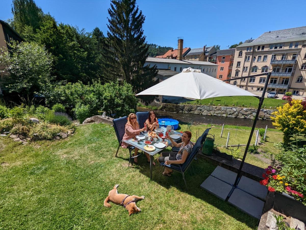 Urlaubstraum Mit Pool, Terrasse & Fluss Im Garten - Ut Διαμέρισμα Sebnitz Εξωτερικό φωτογραφία